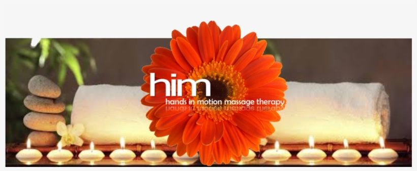 About Seperator Shadow - Orange Gerbera Flower | Dark Center, transparent png download