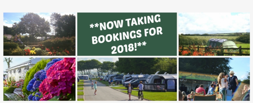 2018 Bookings - Booking, transparent png download
