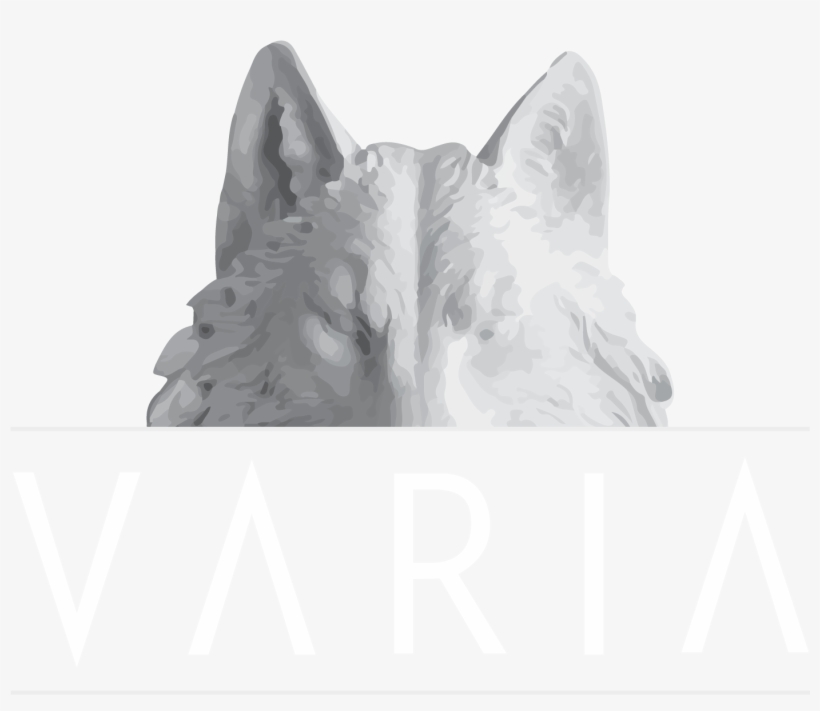 Varia Norfolk Varia Norfolk - Varia, transparent png download