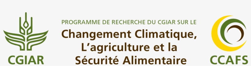 Scale) | Png (small Scale, Suitable For Powerpoints - Cgiar, transparent png download