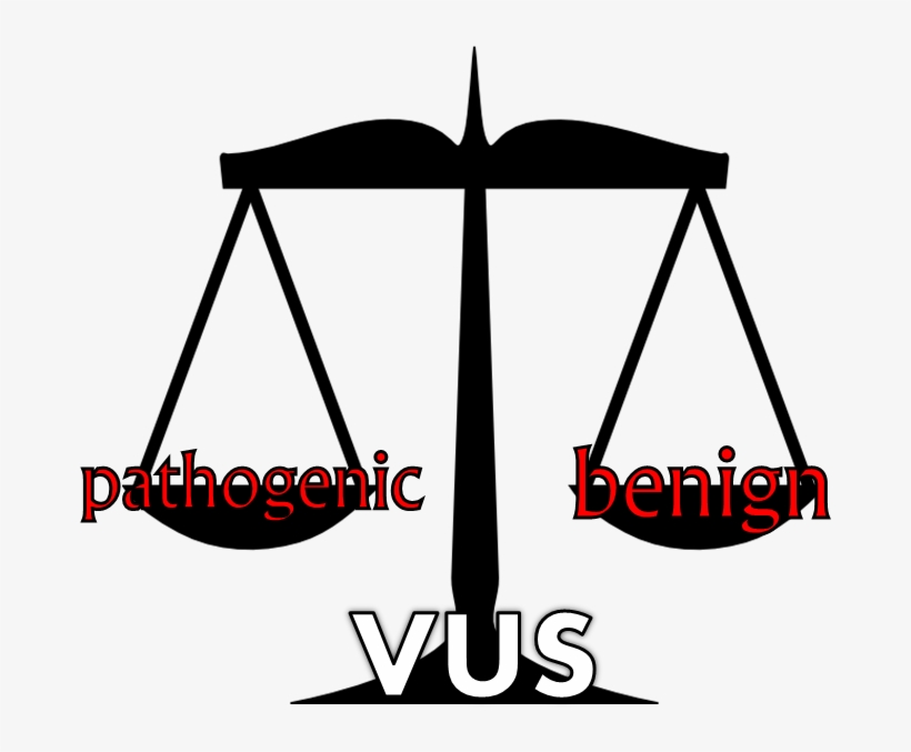 Vus Scale - Scales Of Justice Clip Art, transparent png download
