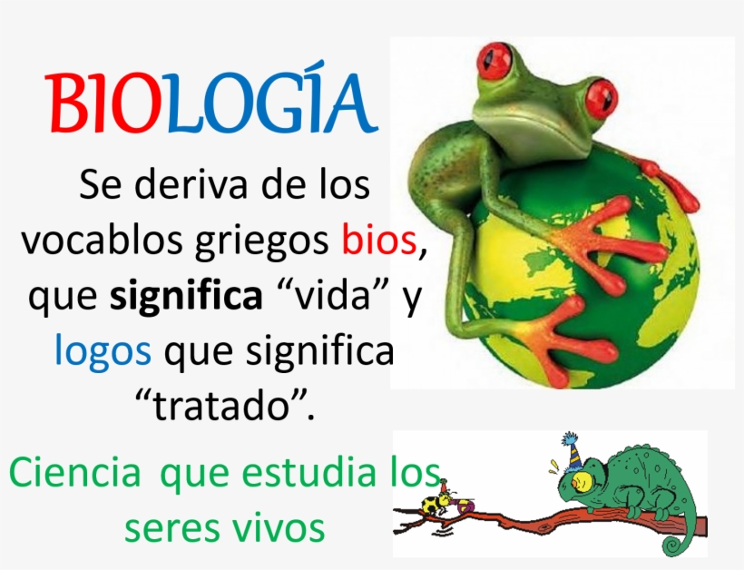 Ramas De La Biología - Frog 3d, transparent png download