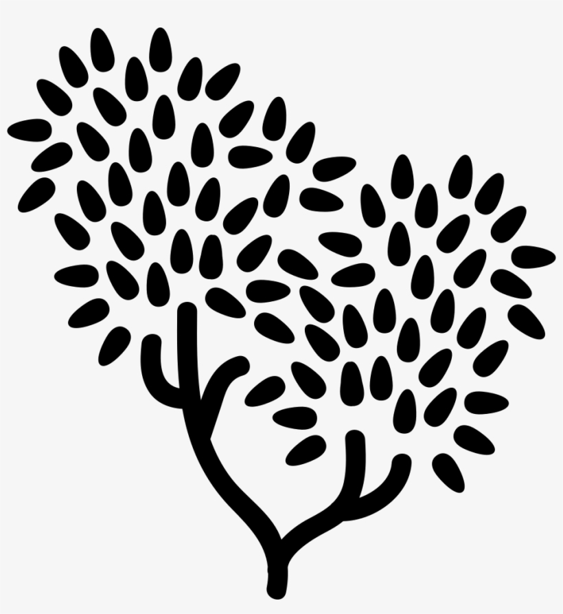 Png File - Icon, transparent png download