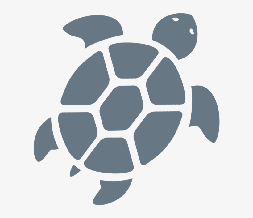 Meet Dr - Vetor De Tartaruga, transparent png download