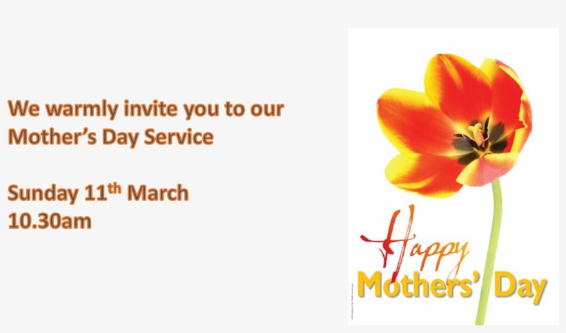 Share On Facebook Share - Butterflys And Flowers-grandmother's Birthday Card, transparent png download
