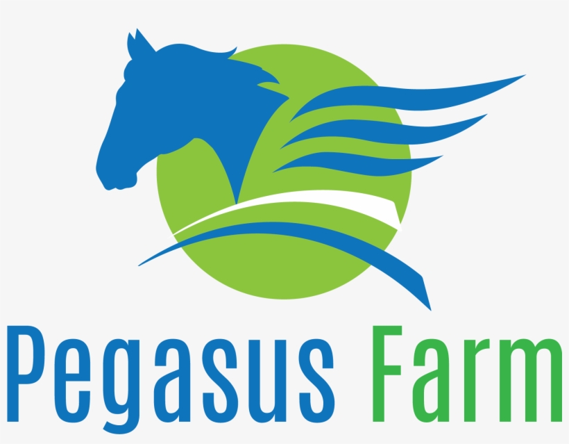 December 11, 2017 - Pegasus Therapeutic Hartville, transparent png download