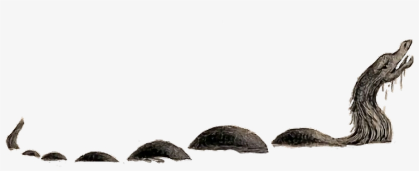 Crocodile, transparent png download