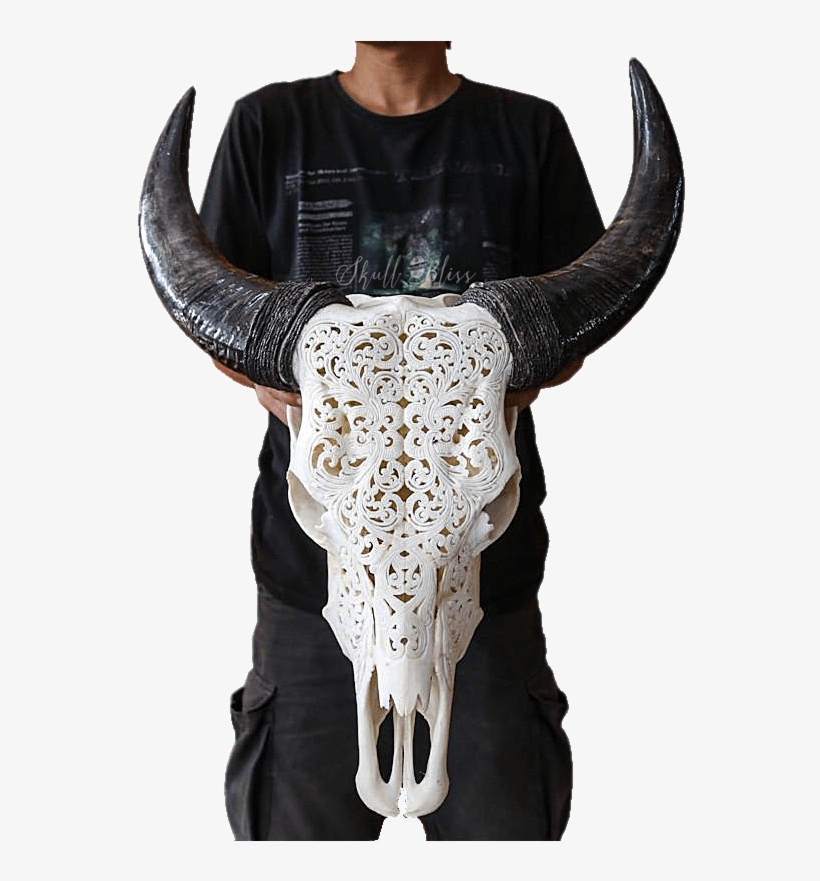 Horn, transparent png download