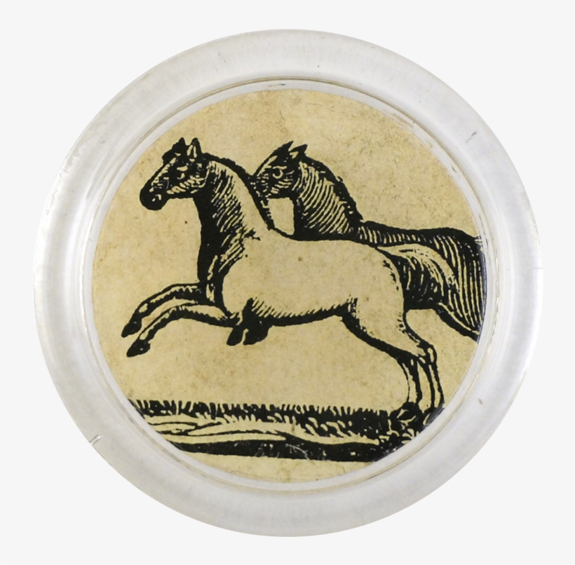 Horse, transparent png download