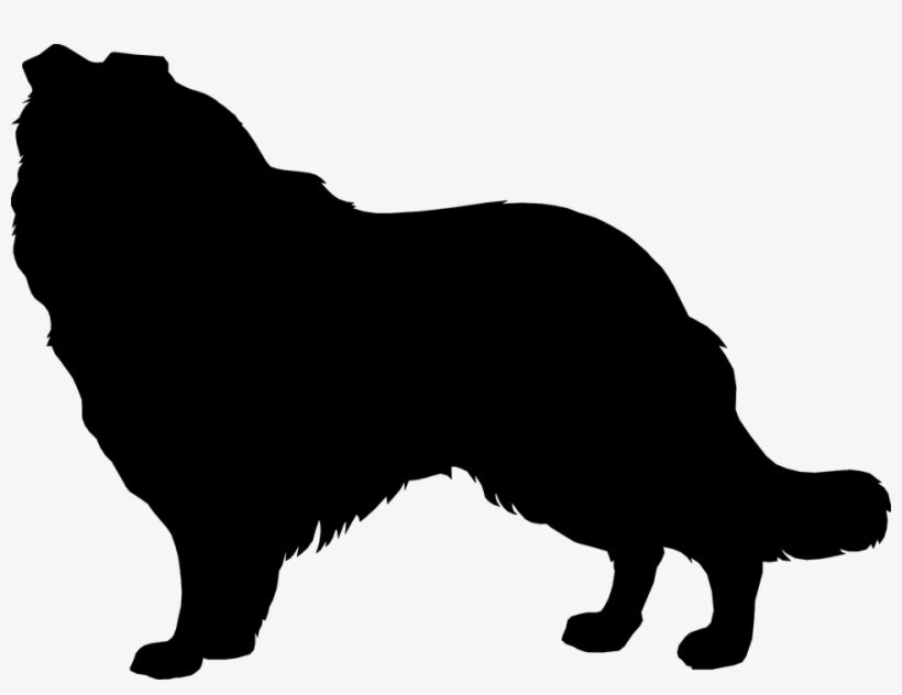 Dog Paw Prints Clipart - Collie Silhouette Png, transparent png download