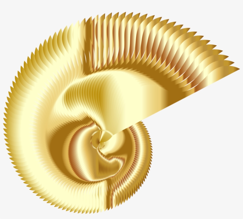 Nautilidae Abstract Differential Geometry Computer - Abstract Differential Geometry, transparent png download