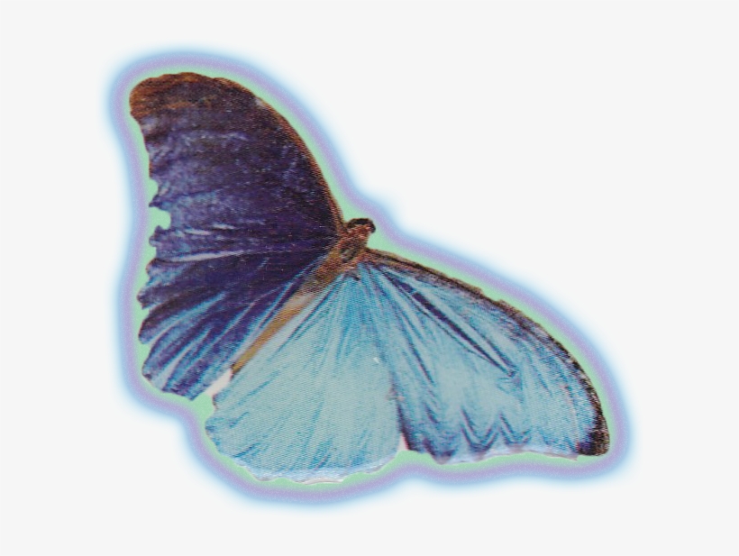 Powered By Squarespace - Common Blue, transparent png download