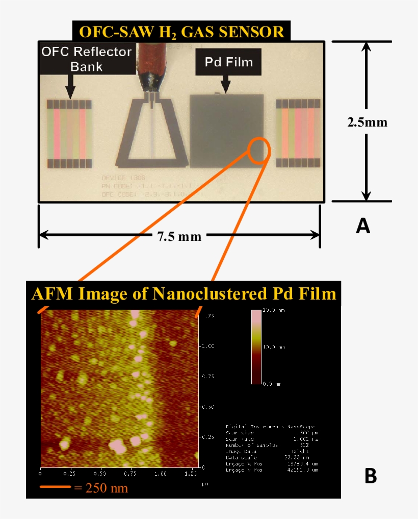 Orthogonal Frequency Coded Saw Rfid Tagsensor With - Lithium Niobate, transparent png download