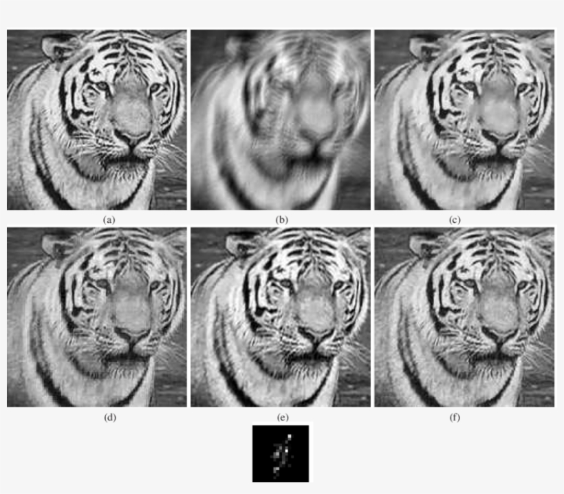 Noisy Blurred Image - Deconvolution, transparent png download