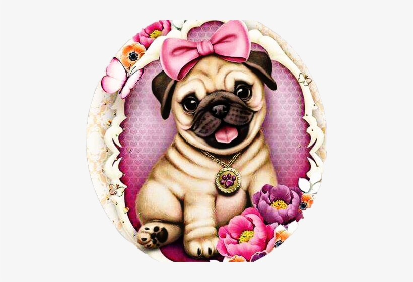 #scpug,#pug,#freetoedit - Jolie Pug, transparent png download