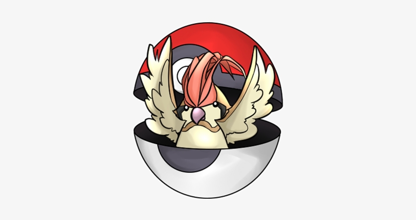 Share - Illustration, transparent png download