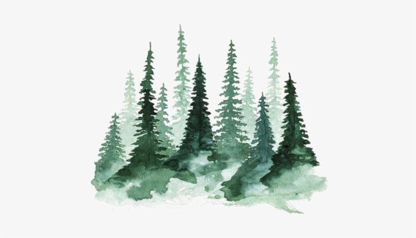Freetoedit Watercolor Tree Green Forrest - Laptop Alpha Xi Delta, transparent png download