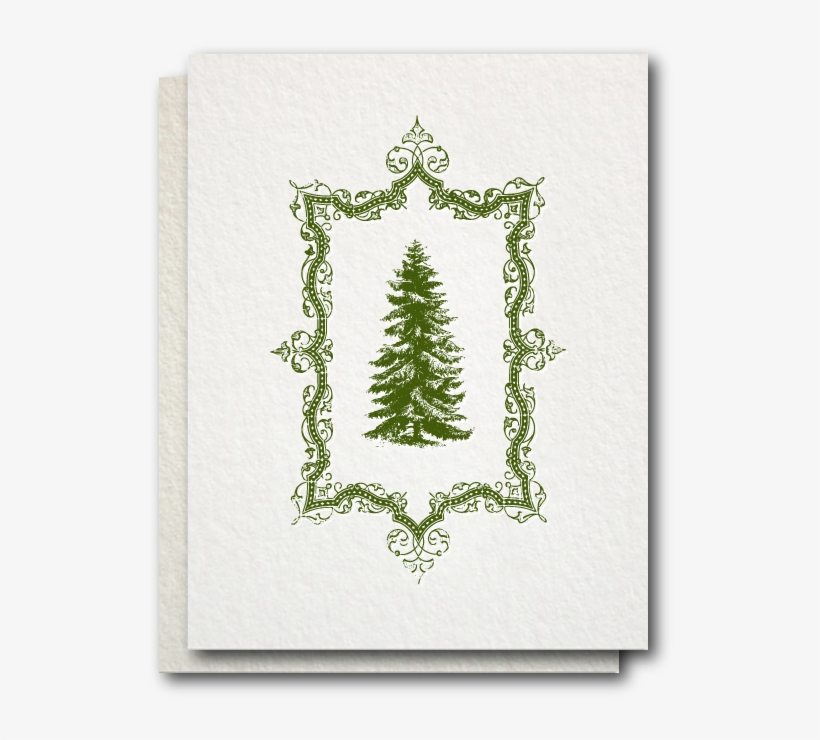Evergreen Tree - Music Festival Posters, transparent png download