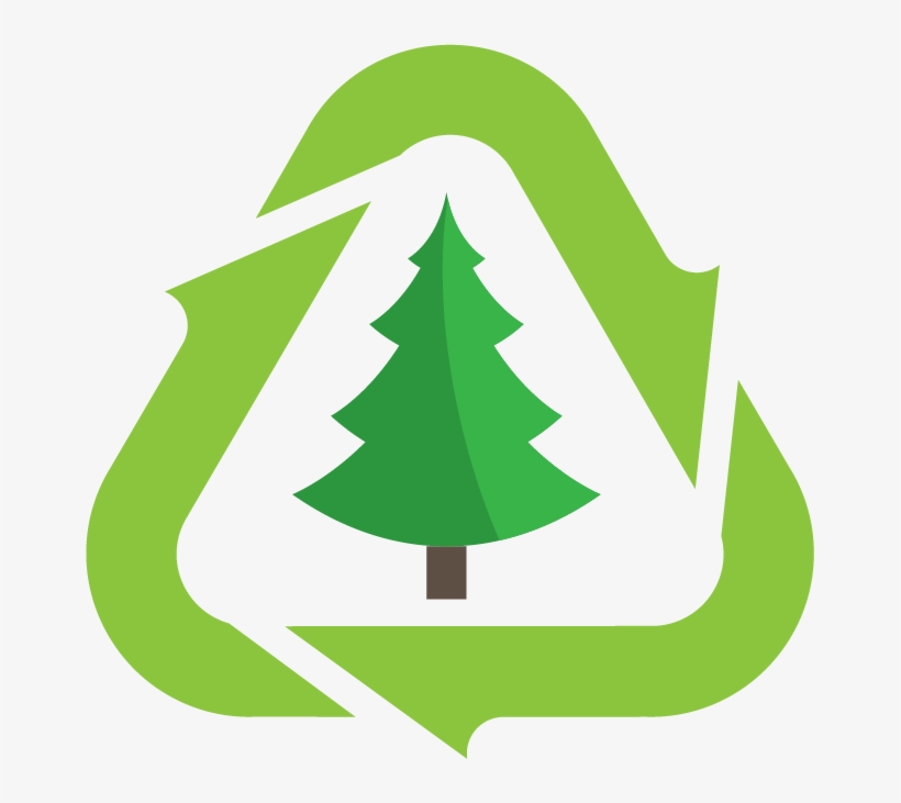 A Winters Green Tree Image With Snow - Christmas Tree Recycling, transparent png download
