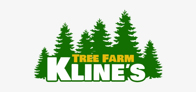 Ktf Web Logo Ktf Web Logo Ktf Web Logo - Pine Tree Silhouette, transparent png download