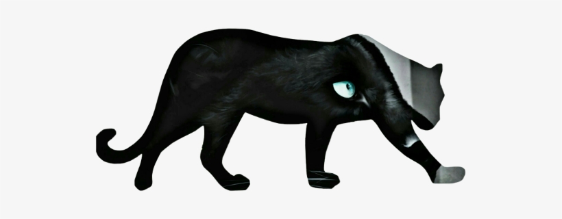 Srcpanther Panther Pantera Participaen17h - Leopard, transparent png download