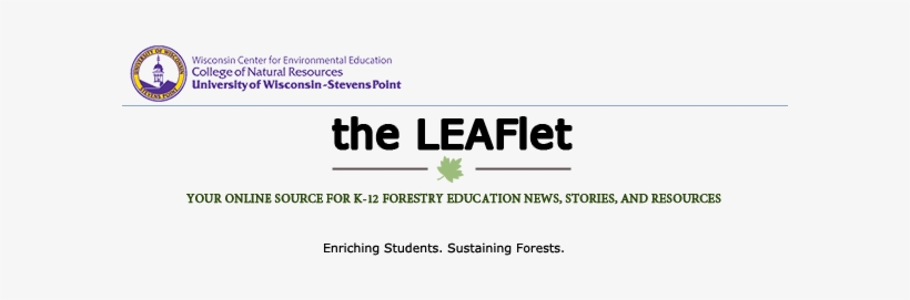 Your Online Source For Leaf News - New Ymca, transparent png download
