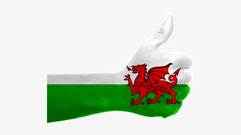 Britain - Flag Of Wales, transparent png download