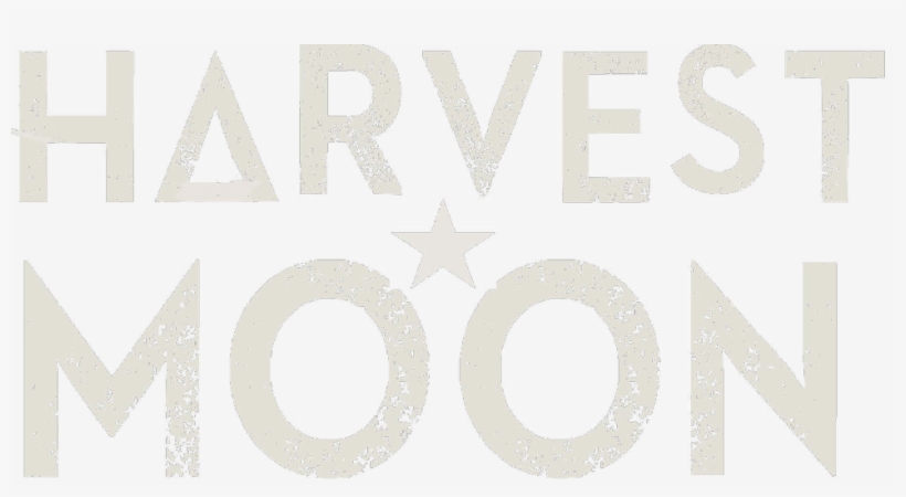 Circle, transparent png download