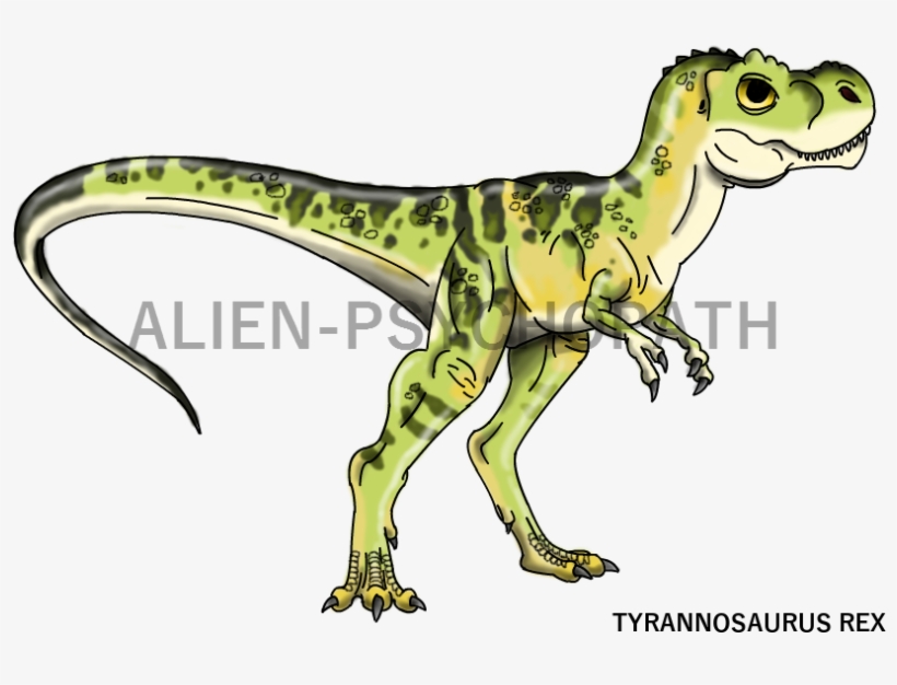Drawing T Tyrannosaurus Rex - Tyrannosaurus, transparent png download
