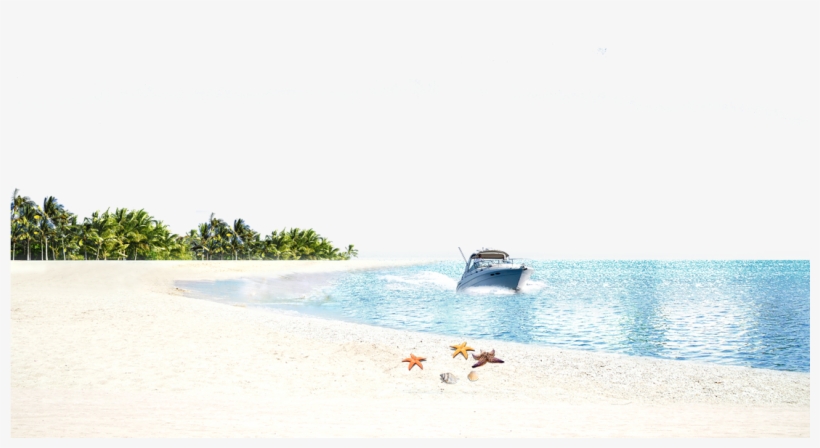 Vector Beach Background Wallpaper - Wallpaper, transparent png download