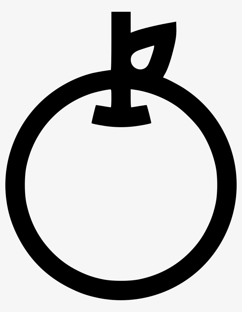 Fruit Apple Training Teacher Diet Nutrition Comments - Symbol For Around, transparent png download