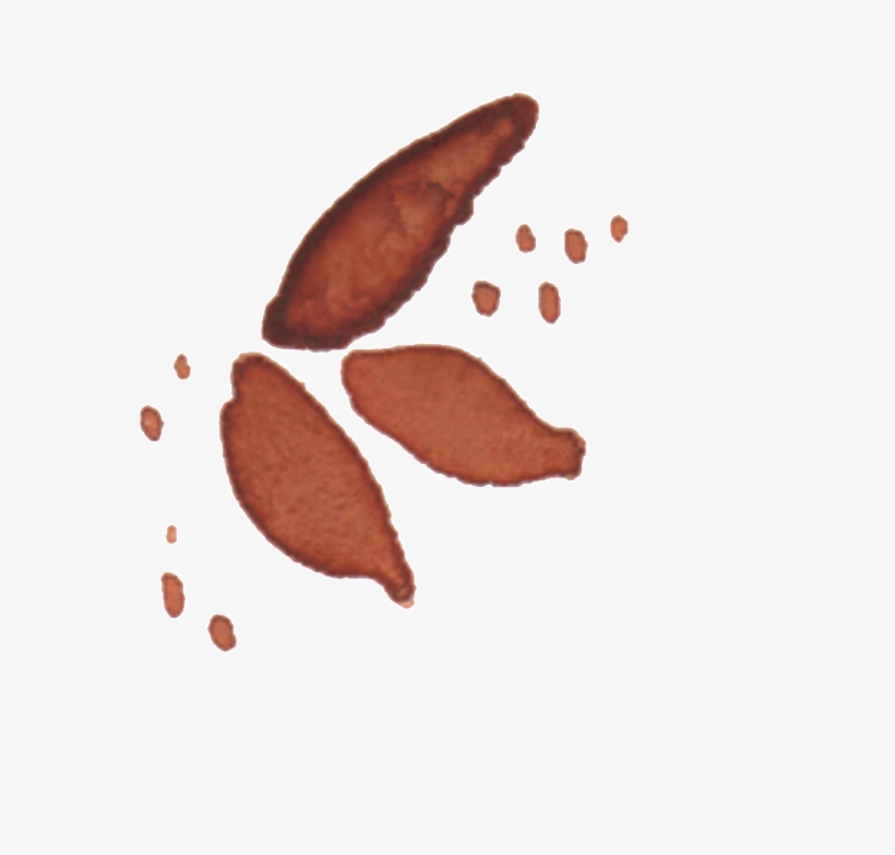 Brown Leaf Watercolor Hand Drawn Transparent - Watercolor Painting, transparent png download