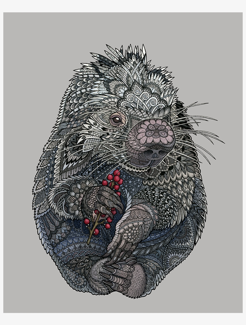 A Prehensile-tailed Porcupine Holding Red Berries, - Watercolor Painting, transparent png download