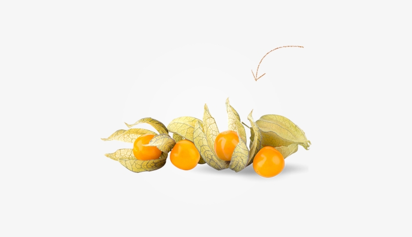 Small Golden Berry, transparent png download