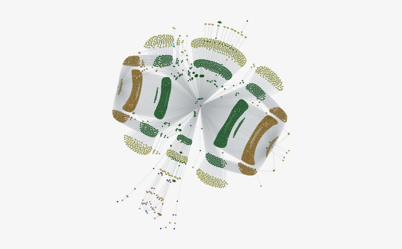 The Amass Tool Performs Scraping Of Data Sources, Recursive - Subdomain, transparent png download
