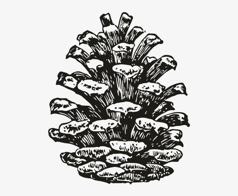 Smock Pinecone 2 Motif - Southern Culture On The Skids Electric Pinecones, transparent png download