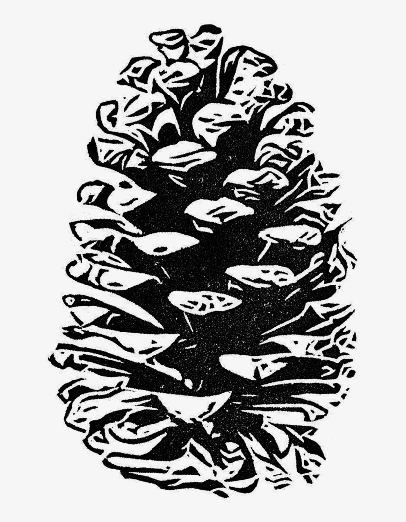 Pinecone - Pine, transparent png download