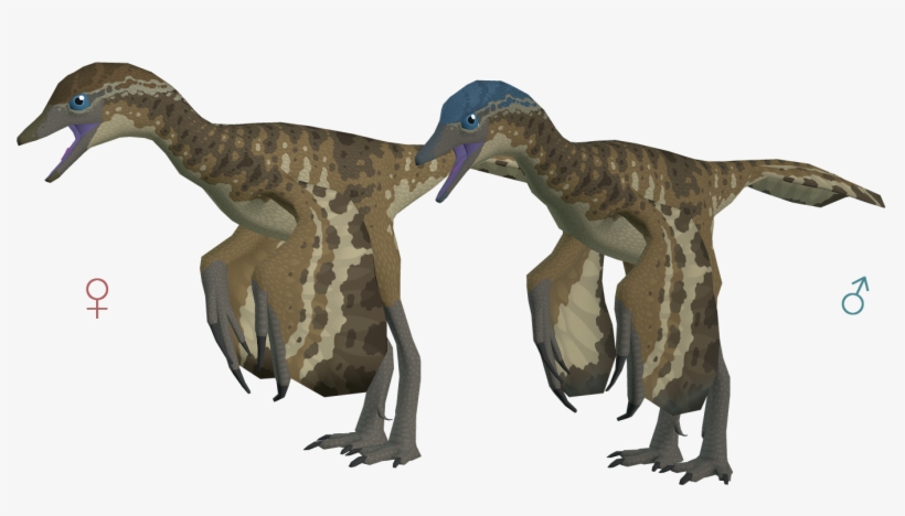 Pinecone Archaeopteryx The Archotek Project - The Archotek Project, transparent png download