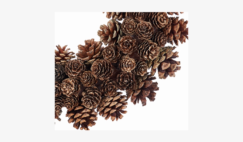 Ed On Air 14" Rustic Mixed Pinecone Wreath By Ellen, transparent png download