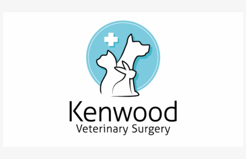 Graphic Design, transparent png download