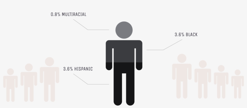 Diversity Infographic - Infographic, transparent png download