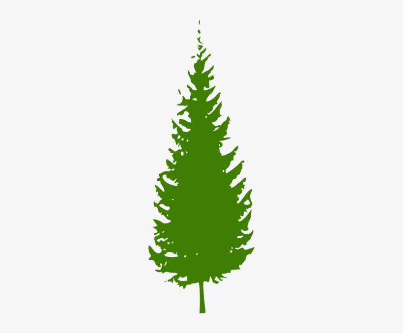 Pine Tree Pine Cone Clipart - Pine Tree Clip Art, transparent png download