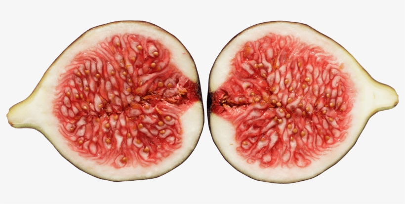 Free Png Fig Png Images Transparent - Sliced Fig On A Turquoise Plate Journal, transparent png download