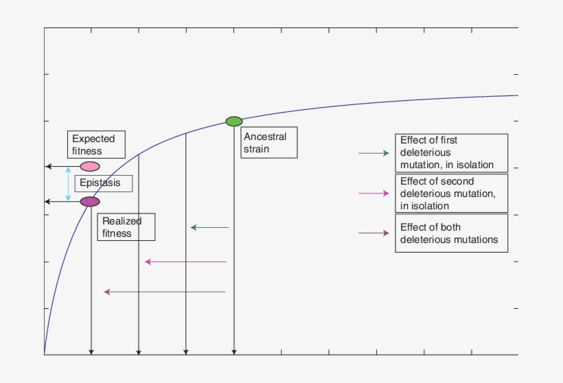 This Figure Is The Logical Opposite Of Fig - Diagram, transparent png download