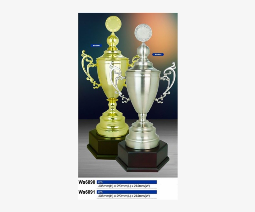 Kedai Trofi Medal, transparent png download
