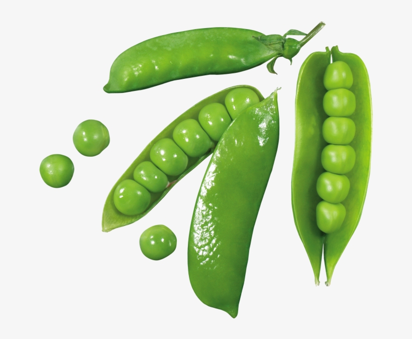 Pea - Green Pea, transparent png download