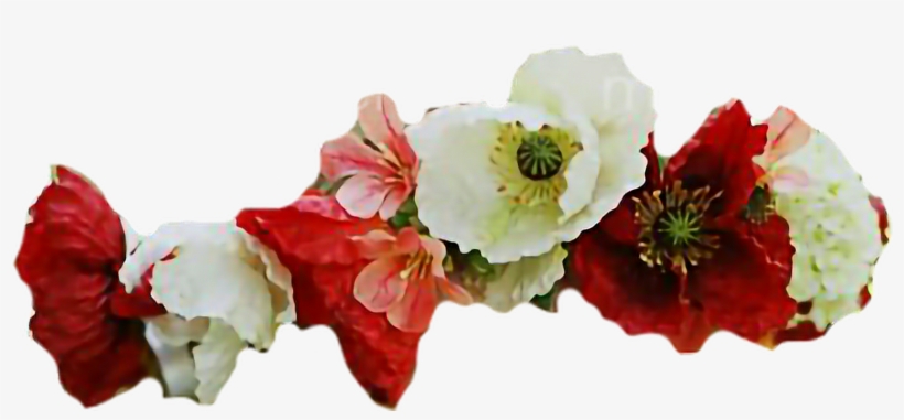 Report Abuse - Adobe Photoshop, transparent png download