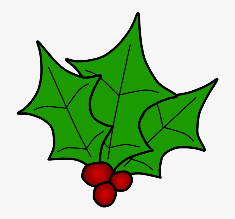 Holly, Berries, Leaves Together, Green - Holly, transparent png download