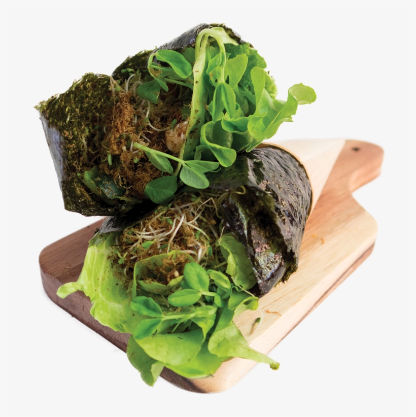 $10 - - 81, transparent png download