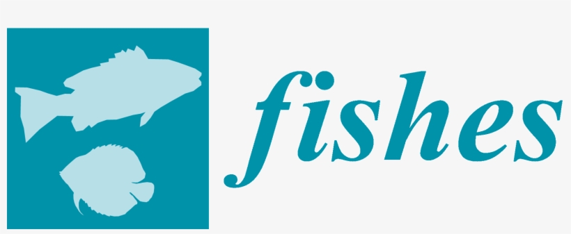 Free Full-text - Love My Sister Throw Blanket, transparent png download